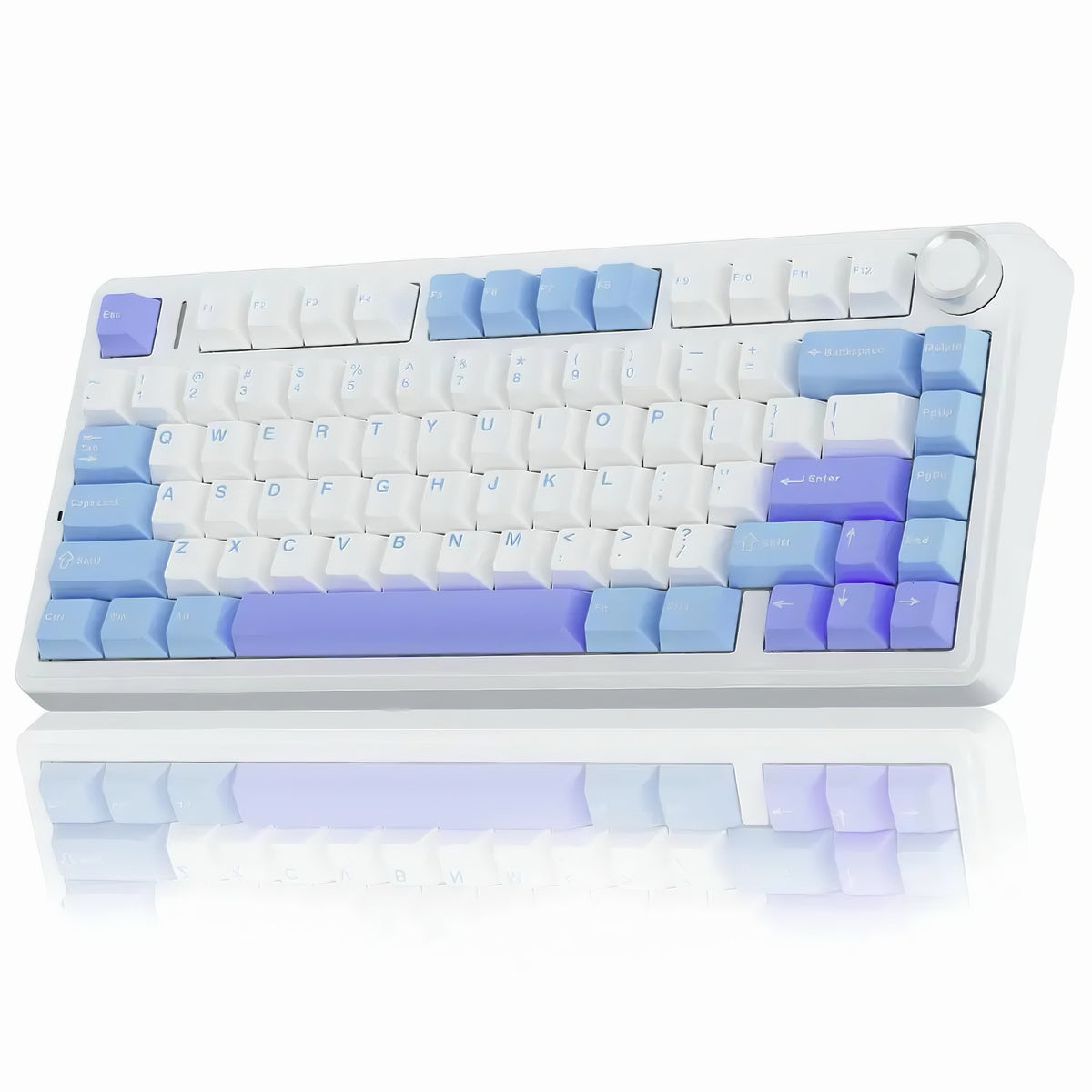 White Aula F75 wireless mechanical keyboard with light blue and lavender purple keycaps and a top right rotary knob shown on a reflective surface
